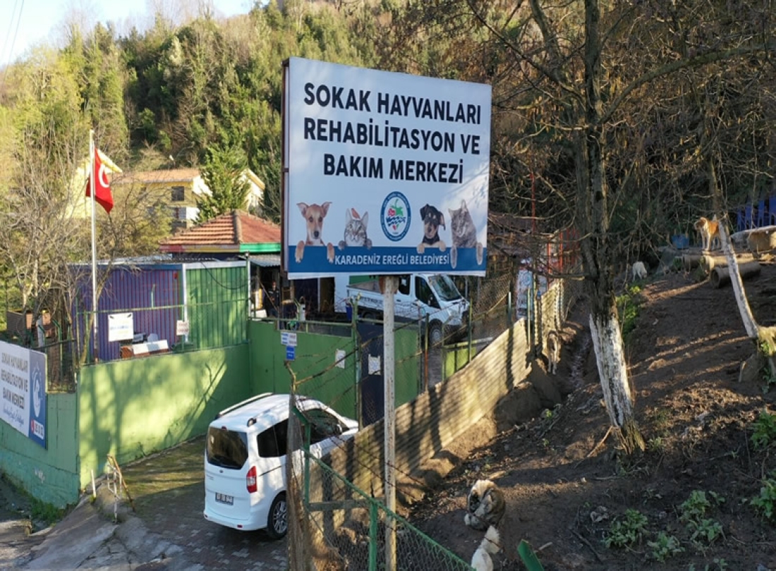 4 Ekim Dünya Hayvanları Koruma Günü..