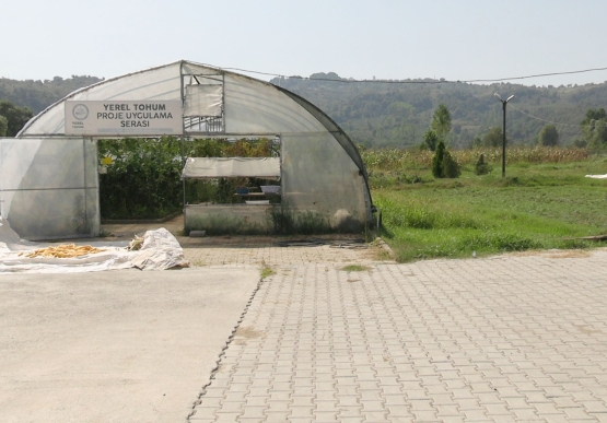 Yerel Tohum Projesini Önemsiyoruz