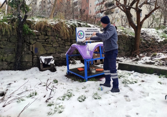 Kdz. Ereğli Belediyesi, Sokaktaki Canları Unutmadı