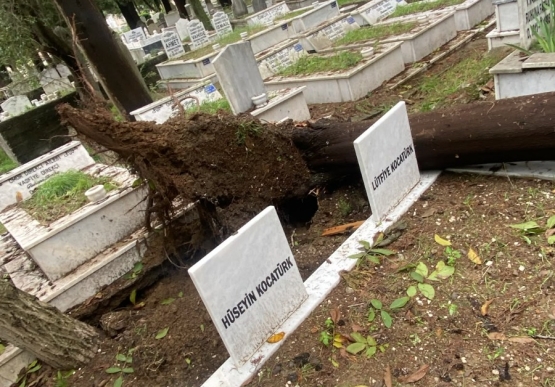 Şehir Mezarlığında Fırtınanın İzleri Silindi