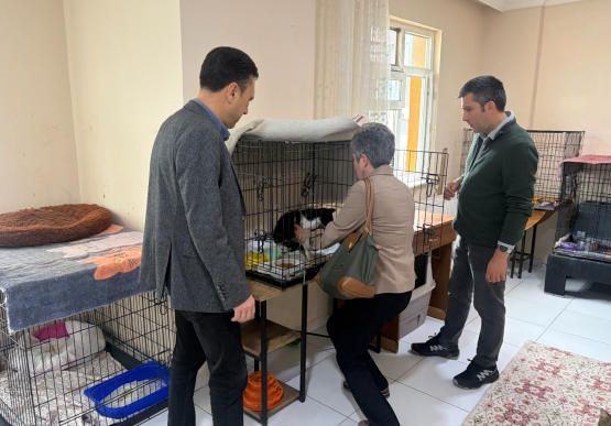 4 Ekim Hayvanları Koruma Günü’nde Anlamlı Buluşmalar