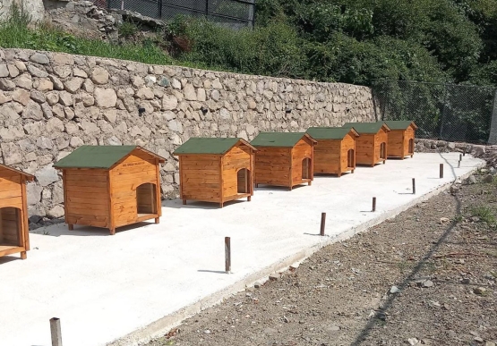 Kdz. Ereğli Belediyesi Sokak Hayvanları Rehabilitasyon Ve Bakım Merkezi 12,5 Dönümlük Alana Ulaşacak