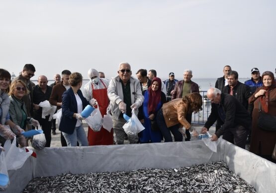 Kdz. Ereğli’de 16. Hamsi Festivali Ateşi Yandı