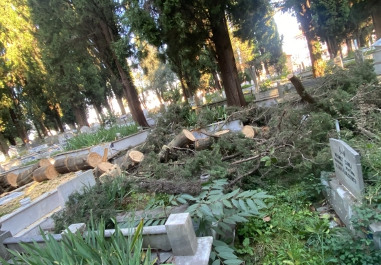 Şehir Mezarlığında Fırtınanın İzleri Silindi