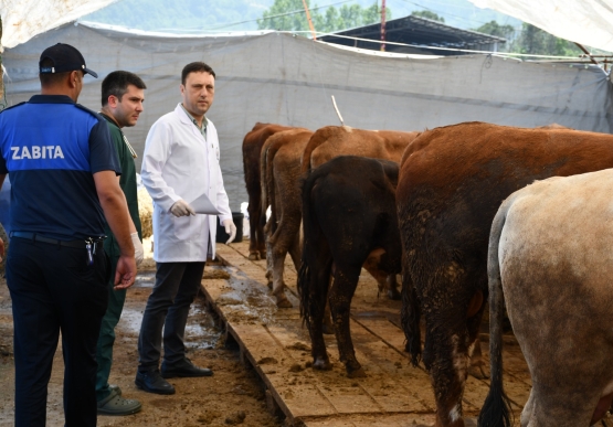 Belediye Kurban Pazarını Denetledi, Kurban Yakalama Timi Kurdu