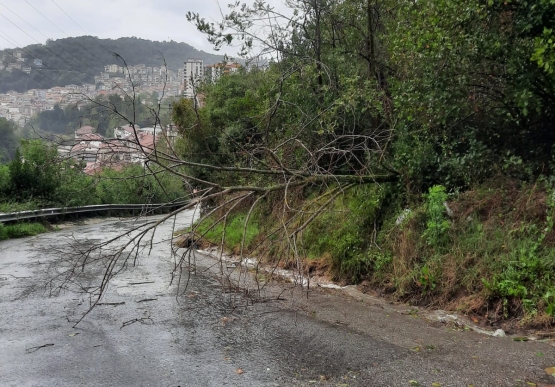 Derelerde Su Seviyesi Yükseliyor, Dalga Boyu Artıyor, Fırtına Şiddetleniyor