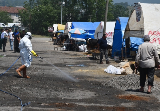 Belediye Kurban Pazarını Denetledi, Kurban Yakalama Timi Kurdu