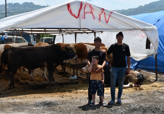 Belediye Kurban Pazarını Denetledi, Kurban Yakalama Timi Kurdu