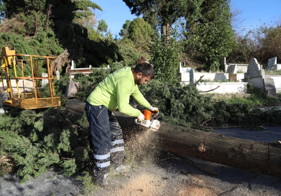 Kdz. Ereğli’de Felaketin İzleri Siliniyor