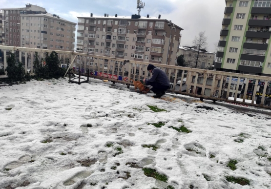 Kdz. Ereğli Belediyesi, Sokaktaki Canları Unutmadı